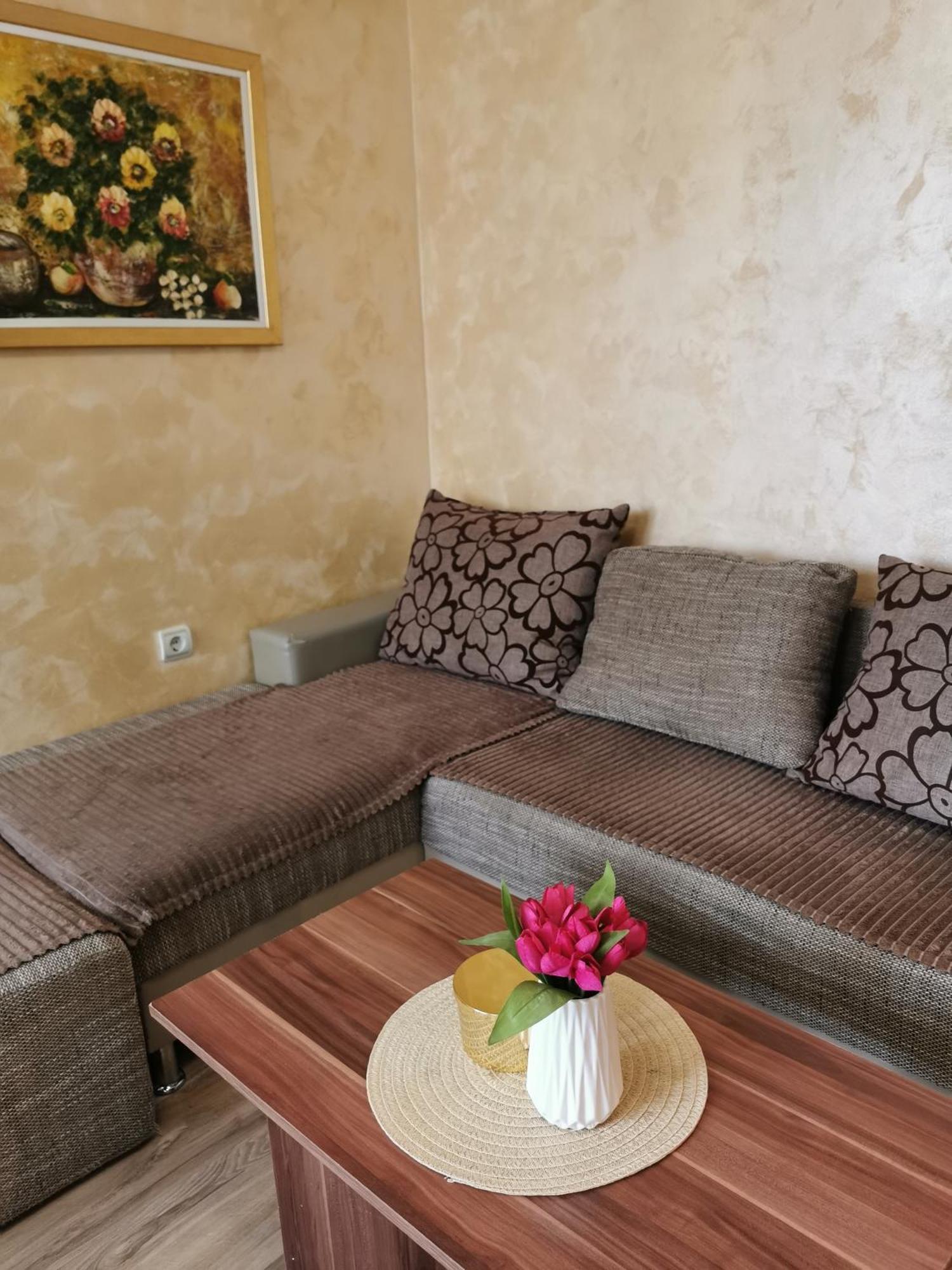 Apartment Ruza Kladovo Room photo